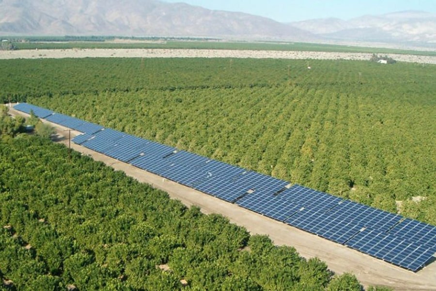 استفاده از پمپ خورشیدی برای آبیاری قطره‌ ای