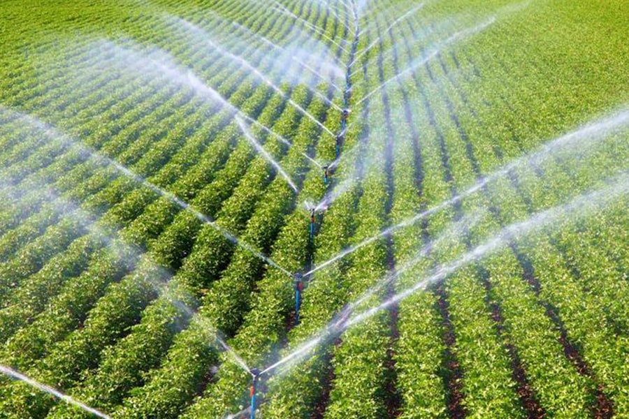 گام به گام تا طراحی سیستم پمپ خورشیدی برای آبیاری قطره‌ ای
